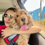 Rukshar Dhillon Instagram - Just a random photo dump♥️🥰
