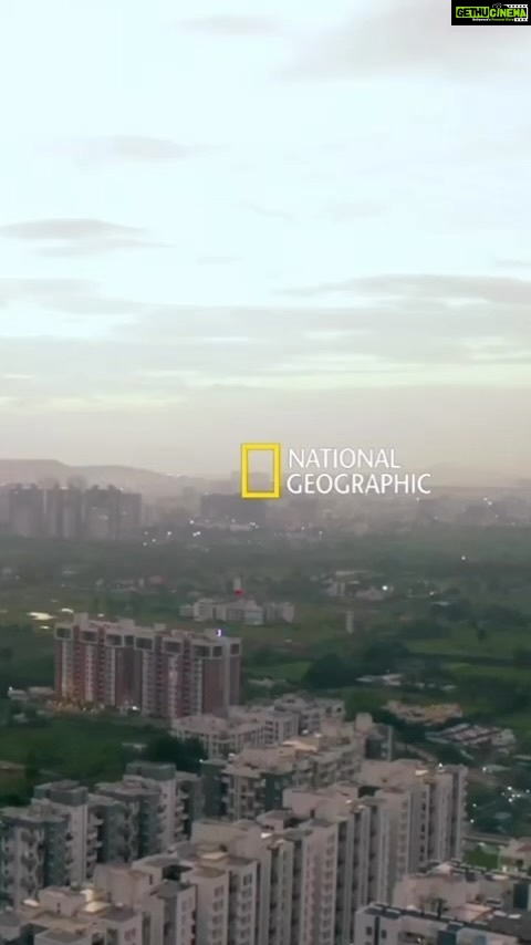 Sai Tamhankar Instagram - STREAMING NOW ON @disneyplushotstar . Once the headquarters of the Maratha Empire, Pune is now a national hub for higher education. Join us as we explore the city on Postcards from Maharashtra, only on National Geographic. #NatGeoIndia #PartnerContent @natgeoindia @maharashtratourismofficial