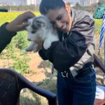 Sai Tamhankar Instagram - Visitor 🥺😍 #saitamhankar #onset #suchvisitors #munchkin #muncheeze #nomnom #husky #baby #babyboo