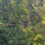 Sakshi Pradhan Instagram – Do you know how I reach the Beach?🌳 🧗🏽♀️🏝️ 💦 😥 🩴 🪬
..
..
..
..
..
..
#Treehouse #soundsofthejungle jungle #greenstowaters #Trill #explore #findyourway #findyourself #Travel Phuket, Thailand