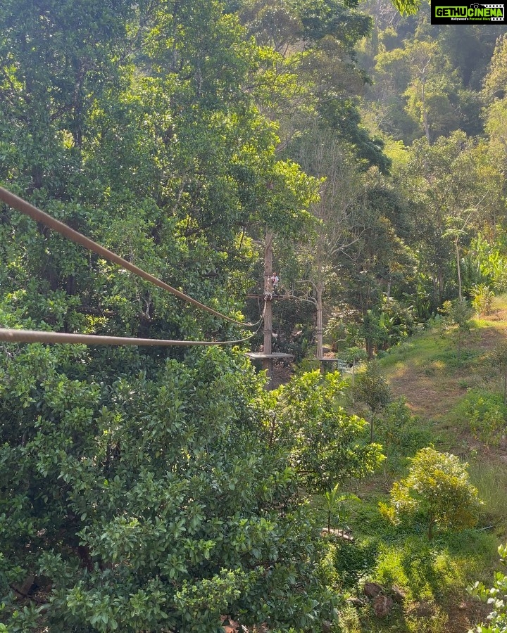 Sakshi Pradhan Instagram - Do you know how I reach the Beach?π³ π§π½ββοΈποΈ π¦ π₯ π©΄ πͺ¬ .. .. .. .. .. .. #Treehouse #soundsofthejungle jungle #greenstowaters #Trill #explore #findyourway #findyourself #Travel Phuket, Thailand