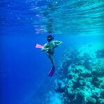 Samyuktha Hegde Instagram – Anyone seen nemo? 

#underwater #snorkeling #islandgirl