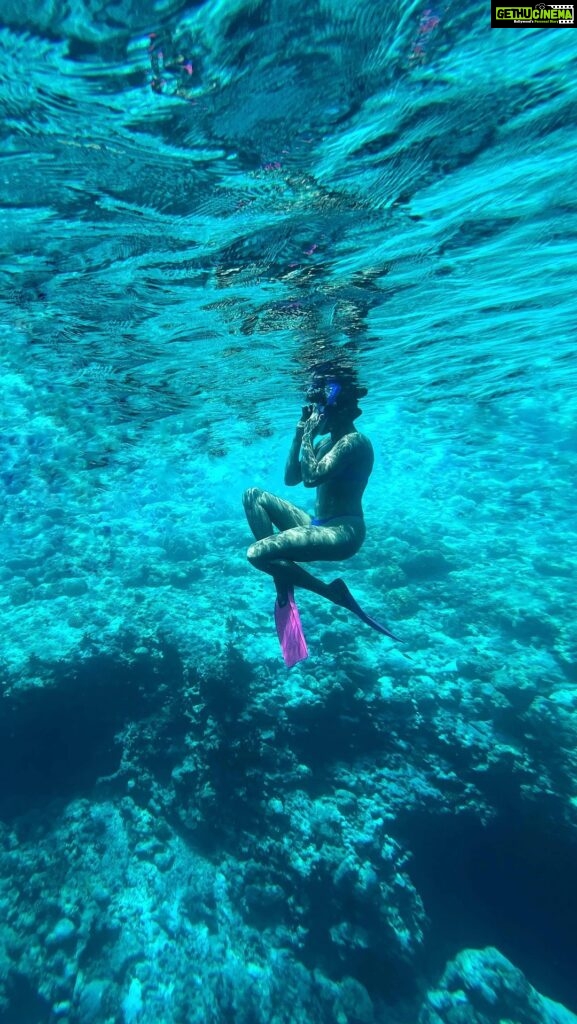 Samyuktha Hegde Instagram - Life in the sea is dangerous but nothing is more dangerous than a life behind a desk with no memories made! 🎥 @friend_in_maldives ❤️ You’re the bestest ❤️ #mermaid #underwaterworld #oceangirl