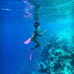 Samyuktha Hegde Instagram – Anyone seen nemo? 

#underwater #snorkeling #islandgirl
