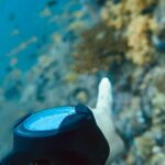 Samyuktha Hegde Instagram - CERTIFIED ADVANCED OPEN WATER DIVER 🎉 🌊 What an amazing experience of going down a 100ft in the ocean, in the day and in the night. I’ve always loved the water so much, In 2017 when i dived for the first time it was life changing and i told myself i will go around the world doing the same in oceans, rivers and lakes exploring the world of water In 2019 i got my first certification and now I’ve levelled up! I’m just happy i took this solo trip, having all this time to myself has been really good for me! Not just the fact that i had a lot offffff fun but also I’m gonna have some great stories to tell when I’m old ❤️ Thanks @nomadults for being such a calm teacher and taking me through this course smoothly ❤️ #scubadiving #waterbaby #phiphj #solotravel #thailand