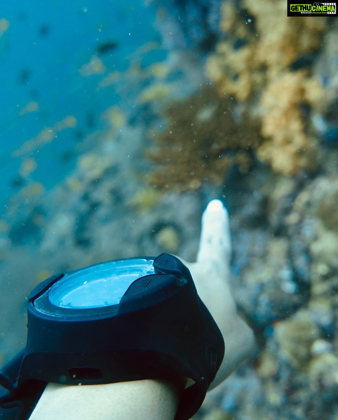 Samyuktha Hegde Instagram - CERTIFIED ADVANCED OPEN WATER DIVER 🎉 🌊 What an amazing experience of going down a 100ft in the ocean, in the day and in the night. I’ve always loved the water so much, In 2017 when i dived for the first time it was life changing and i told myself i will go around the world doing the same in oceans, rivers and lakes exploring the world of water In 2019 i got my first certification and now I’ve levelled up! I’m just happy i took this solo trip, having all this time to myself has been really good for me! Not just the fact that i had a lot offffff fun but also I’m gonna have some great stories to tell when I’m old ❤️ Thanks @nomadults for being such a calm teacher and taking me through this course smoothly ❤️ #scubadiving #waterbaby #phiphj #solotravel #thailand