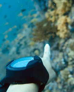 Samyuktha Hegde Instagram - CERTIFIED ADVANCED OPEN WATER DIVER 🎉 🌊 What an amazing experience of going down a 100ft in the ocean, in the day and in the night. I’ve always loved the water so much, In 2017 when i dived for the first time it was life changing and i told myself i will go around the world doing the same in oceans, rivers and lakes exploring the world of water In 2019 i got my first certification and now I’ve levelled up! I’m just happy i took this solo trip, having all this time to myself has been really good for me! Not just the fact that i had a lot offffff fun but also I’m gonna have some great stories to tell when I’m old ❤️ Thanks @nomadults for being such a calm teacher and taking me through this course smoothly ❤️ #scubadiving #waterbaby #phiphj #solotravel #thailand Phi Phi Island, Thailand
