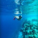 Samyuktha Hegde Instagram – Anyone seen nemo? 

#underwater #snorkeling #islandgirl