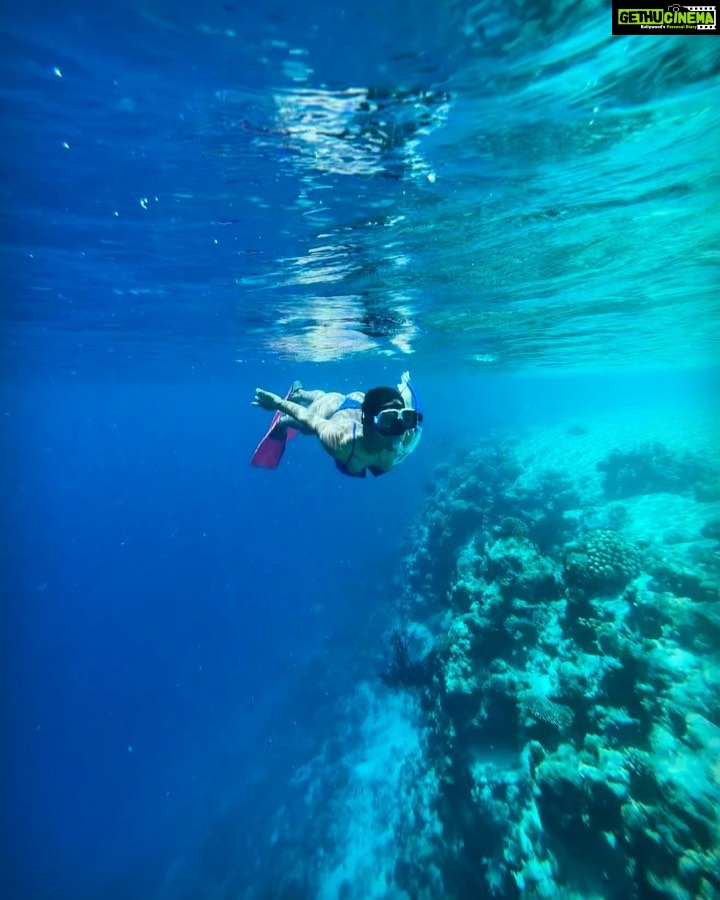 Samyuktha Hegde Instagram - Anyone seen nemo? #underwater #snorkeling #islandgirl