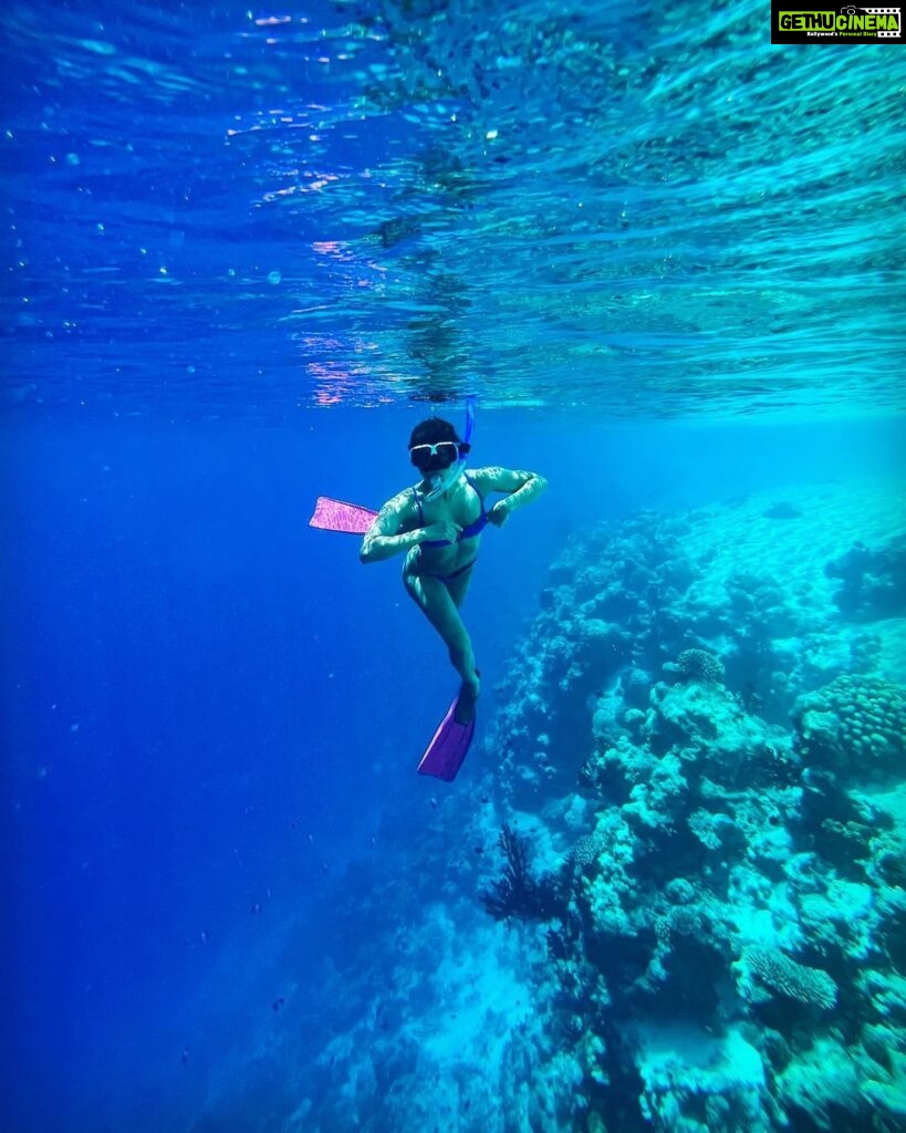 Samyuktha Hegde Instagram - Anyone seen nemo? #underwater #snorkeling #islandgirl