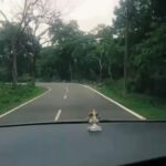 Samyuktha Varma Instagram - Mysore🌿journey to centre of 💚