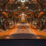 Samyuktha Varma Instagram - Inward journey💫mind traveler 4 change