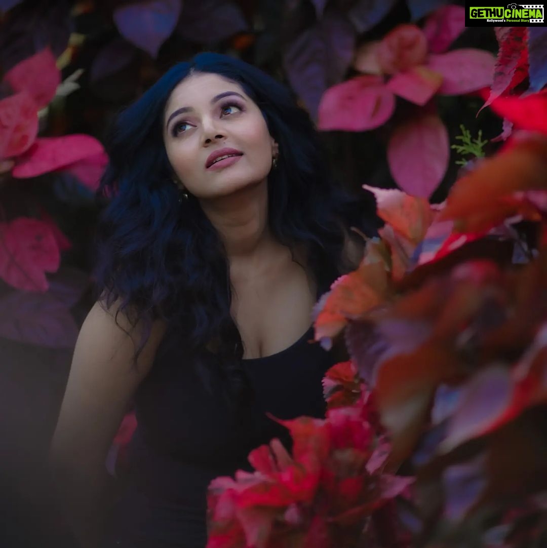 Sanam Shetty Instagram - How can the heart not flutter? When your hug melts me like warm butter.. And damn..that smile! Eyes haven't seen anything sweeter♥️ . . How's my love poem?😚 Id love to hear your lines too peeps!! #lovelineschallenge The Red Petal Series Photography @__thirdeyeweddings__ Edit @thejan Concept @samissiah Makeup @diyamakeover_ Hair @madhuzartistry Logistics @joemichael.official @gideonmediaevents @reshma.srijay Venue @darzaluxuryresorts #lovepoems #fabfeb #redpetal #sanam #sanamshetty #allaboutlove
