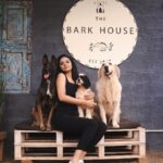 Sanam Shetty Instagram - When Bigg Boss Season 4 fame Sanam Shetty paid us a visit. ✨ Our fur babies loved hosting you, @sam.sanam.shetty! 🐶❤️ #dog #dogsofinstagram #doglover #dogs #dogoftheday #doglovers #doglife #doglove #dogphotography #instadog #dogsitting #happydog #dogstagram #dogdaycare #biggbosstamil #biggboss4tamil #sanamshetty #coimbatore #englishretriever #goldenretriever #americancockerspaniel #belgianmalinois The Bark House