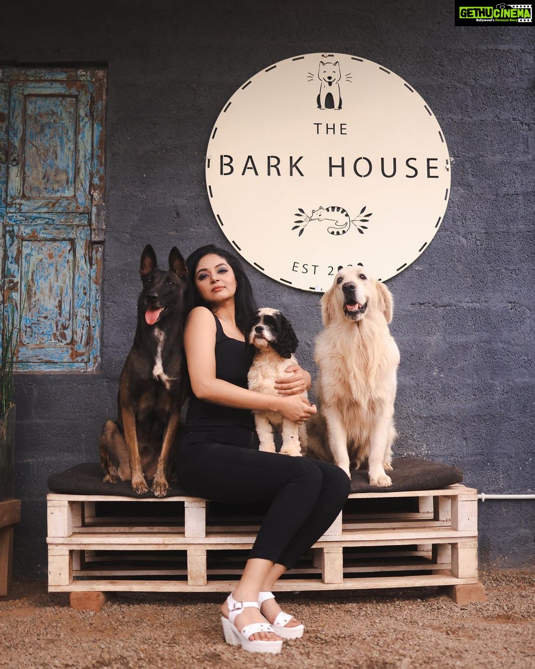Sanam Shetty Instagram - When Bigg Boss Season 4 fame Sanam Shetty paid us a visit. ✨ Our fur babies loved hosting you, @sam.sanam.shetty! 🐶❤️ #dog #dogsofinstagram #doglover #dogs #dogoftheday #doglovers #doglife #doglove #dogphotography #instadog #dogsitting #happydog #dogstagram #dogdaycare #biggbosstamil #biggboss4tamil #sanamshetty #coimbatore #englishretriever #goldenretriever #americancockerspaniel #belgianmalinois The Bark House