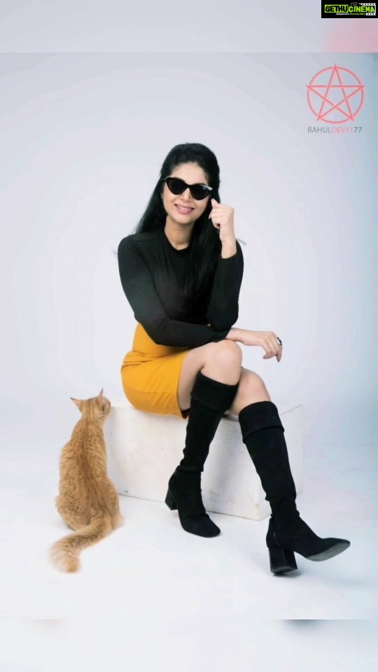 Sanam Shetty Instagram - Look who photobombed 🐈! Clicks @rahuldev1177 Video @aaronofficial MUH @page3salonalwarpet @christina_lepcha_161 Hospitality @rajani_77 @ckkumaravel sir @veena_kumaravel mam #bts #latestshoot📷 #comingup #kittygram #sanam #sanamshetty #highfashion #chennaifashionscene