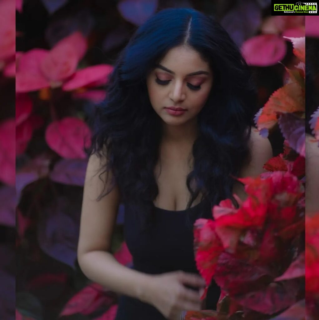 Sanam Shetty Instagram - How can the heart not flutter? When your hug melts me like warm butter.. And damn..that smile! Eyes haven't seen anything sweeter♥️ . . How's my love poem?😚 Id love to hear your lines too peeps!! #lovelineschallenge The Red Petal Series Photography @__thirdeyeweddings__ Edit @thejan Concept @samissiah Makeup @diyamakeover_ Hair @madhuzartistry Logistics @joemichael.official @gideonmediaevents @reshma.srijay Venue @darzaluxuryresorts #lovepoems #fabfeb #redpetal #sanam #sanamshetty #allaboutlove