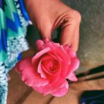 Sanchana Natarajan Instagram - இன்பம் ✨