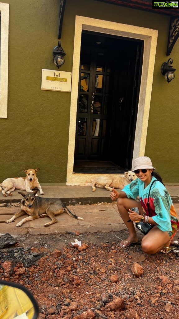 Sanchana Natarajan Instagram - It’s a doggos world and i am definitely having fun living in it 🥲❤️ #dawgs #jollyguyz