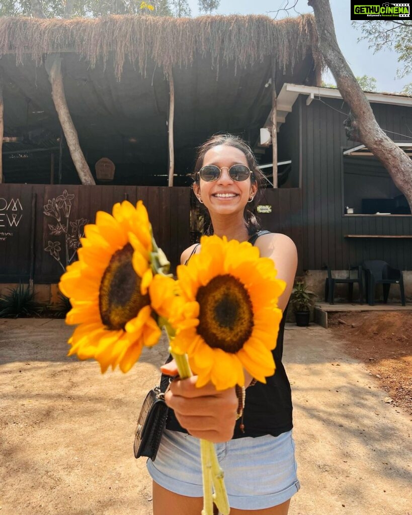 Sanchana Natarajan Instagram - Flowers for you.🌻