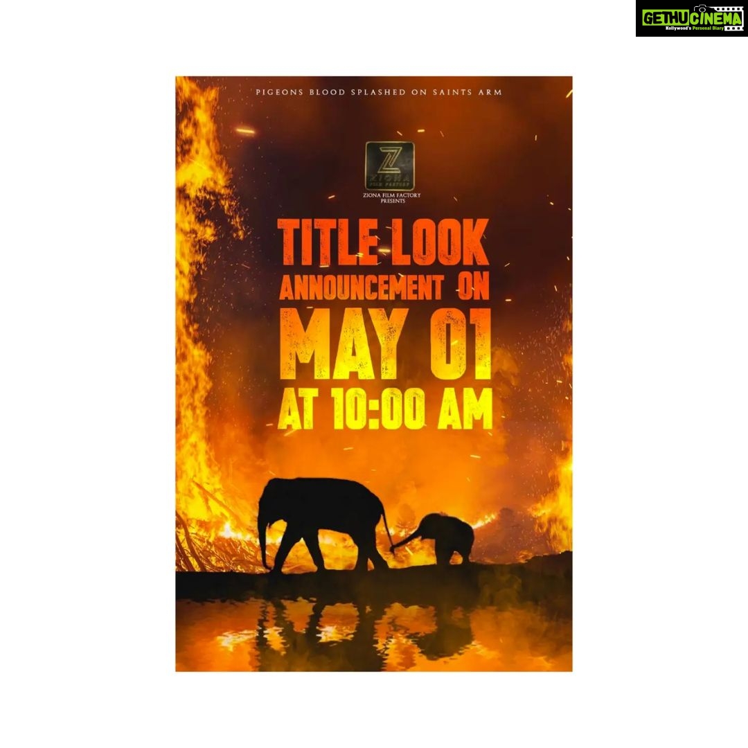 Sandra Amy Instagram - PRAJIN NEXT šš„³šš„š½ļøšš§æ The Title Look posters of @Direct_ZionRaja @Ziona_Film_fact will be revealed on May 1 @actorprajin1 @Gkuhasini @NanjiLPSampath @vanithavijayku1 #producerKRajan #ganjakaruppu @editMeeSundar @VinuChakravart2 @PROSakthiSaran
