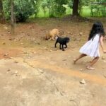 Sandra Thomas Instagram - Pets teach children valuable life lessons like responsibility, trust, compassion, respect and patience. #pets #thankakolusu #dogs #petsofinstagram #dog #cats #dogsofinstagram #animals #cute #petstagram #love #cat #puppy #children #instagram #of #doglover #dogstagram #instadog #animal #doglovers #dogoftheday #petlovers #doglife #catstagram #catlover #puppylove #instacat #puppies #instagood