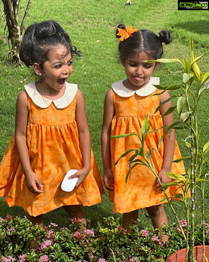 Sandra Thomas Instagram - My garden butterflies Kids Outfit : @zeke_in #trending #viral #instagram #love #toddlerlife #explore #instagood #girls #granddaughter #grandmother #like #natureconnection #kerala #photography #india #trend #instadaily #memes #music #style #trendingnow #reels #supernaturalfamily #likes #photooftheday #model #beautiful #bollywood #bhfyp #thankakolusu