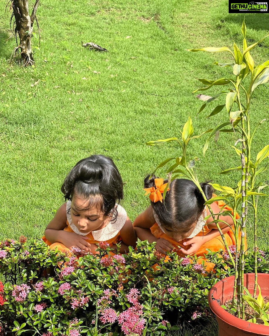 Sandra Thomas Instagram - My garden butterflies Kids Outfit : @zeke_in #trending #viral #instagram #love #toddlerlife #explore #instagood #girls #granddaughter #grandmother #like #natureconnection #kerala #photography #india #trend #instadaily #memes #music #style #trendingnow #reels #supernaturalfamily #likes #photooftheday #model #beautiful #bollywood #bhfyp #thankakolusu