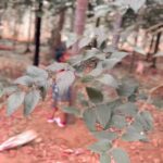 Sandra Thomas Instagram - Goodmorning Friends #thankakolusu #supernaturalfamily #naturelovers #toddlerlife #gratitude #gogreen