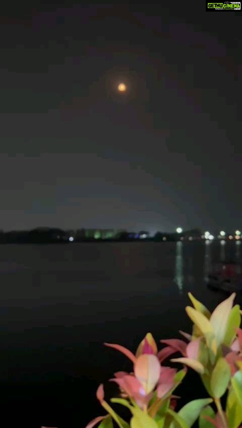 Sandra Thomas Instagram - Moon lover Outfit : @edesignsbythasneem #fullmoon #moon #moonlight #nature #love #night #luna #photography #sky #astrology #nightsky #newmoon #ig #photooftheday #moonlovers #nightphotography #moonphotography #meditation #moonphases #art #fullmoonritual #witch #halloween #supermoon #witchesofinstagram #tarot #instagood #spirituality #space #suoernaturalfamily