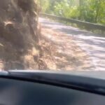 Sandra Thomas Instagram - This is how we recharge our souls #allaboutadventures #yesterday #naturelovers #nature #wild #elephant #monkeys #birds #river #closetonature # longdrive #gravitationalforce #goodfood #friendship #treesandplants