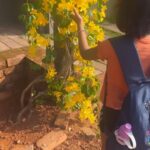 Sandra Thomas Instagram - School girls #flowers #nature #flower #photography #love #naturephotography #flowerstagram #garden #art #beautiful #photooftheday #flowersofinstagram #plants #flowerphotography #instagood #spring #macro #naturelovers #instagram #summer #flores #photo #like #wedding #green #flowerpower #roses #gardening #beauty #picoftheday
