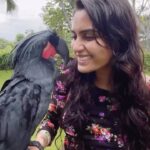 Sangeetha Bhat Instagram - Felt heavenly to spend our @sudarshan_rangaprasad 7th Wedding Anniversary @balizoo savouring the yummy breakfast with Orangutans and interacting with all these beautiful living beings. This program is called ‘Breakfast with the Orangutans’……. Heartfelt thanks to @balizoo and Ayu for being so generous and showing us around and helping us get to know these amazing animals better by interacting with them so closely. It was so memorable. Here is a small video sharing with you all the experience we had and bringing back treasured memories for life. You can experience this too by visiting @balizoo Or Copy paste this link to book your slots/ check my bio for the link/ contact them on Instagram @balizoo https://www.bali-zoo.com/package/breakfast-with-orangutan #sangeethabhat #sangeethabhatsudarshan #sudarshanrangaprasad #balizoosingapadu #indonesia #balitourism #breakfastwithorangutansbali BALI ZOO