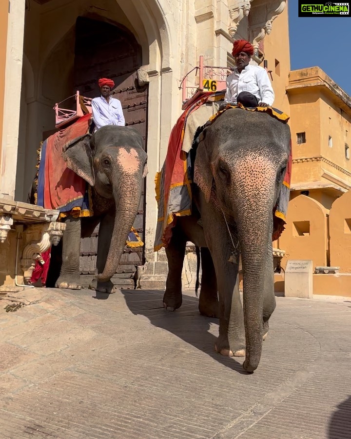 Sangeetha Bhat Instagram - Amer Fort – the melting pot of Rajasthan's heritage, art and architecture….. Jaipur Part 2 Swipe<> #sangeethabhat #sangeethabhatsudarshan #sudarshanrangaprasad #amerfort #amberfort #jaipur #rajasthan @sudarshan_rangaprasad ♥ Amber Fort, Pink City, Rajastan