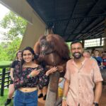 Sangeetha Bhat Instagram - Photo dump-1😍 @sudarshan_rangaprasad 😘 Swipe<> #sangeethabhat #sangeethabhatsudarshan #indonesia #bali #ubud #kintamani #tegalalangriceterrace #tegenunganwaterfall #kapiluwak #tirtempultemple #mountbatur #balizoo Bali, Indonesia