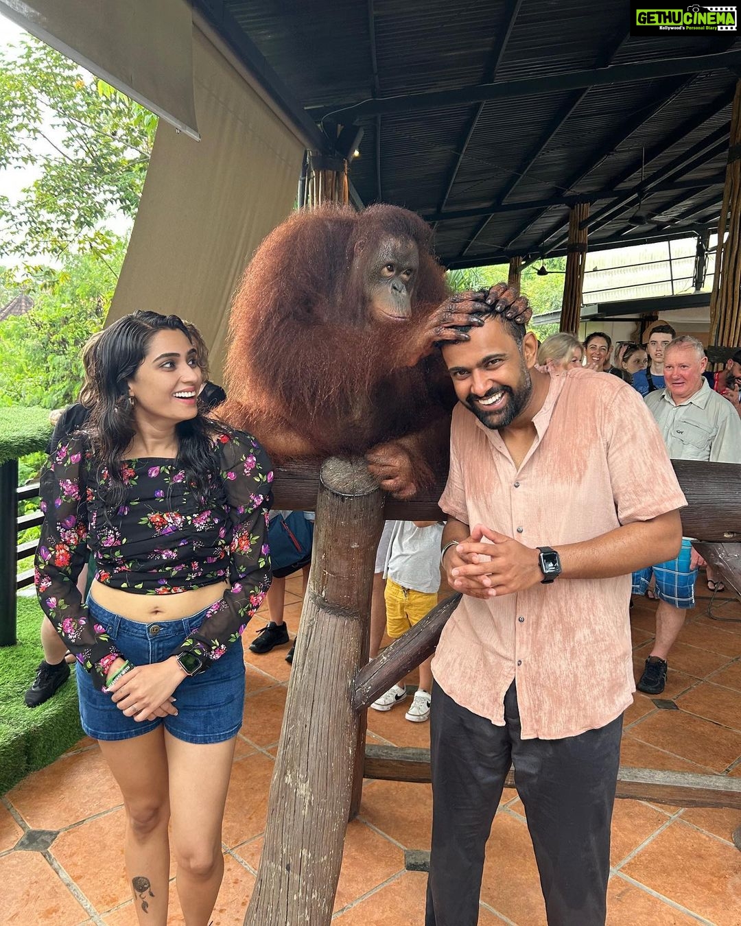 Sangeetha Bhat Instagram - Photo dump-1๐ @sudarshan_rangaprasad ๐ Swipe<> #sangeethabhat #sangeethabhatsudarshan #indonesia #bali #ubud #kintamani #tegalalangriceterrace #tegenunganwaterfall #kapiluwak #tirtempultemple #mountbatur #balizoo Bali, Indonesia