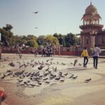 Sangeetha Bhat Instagram - ♥️♥️♥️ End of Jaipur photo dump… wait for Delhi then we will be done with the golden triangle 🥰🥰🥰🥰🥰 Swipe<> @sudarshan_rangaprasad #sangeethabhat #sangeethabhatsudarshan #sudarshanrangaprasad #jaipur #rajasthan #hawamahal गुलाबी नगर, जयपुर : Pink City, Jaipur
