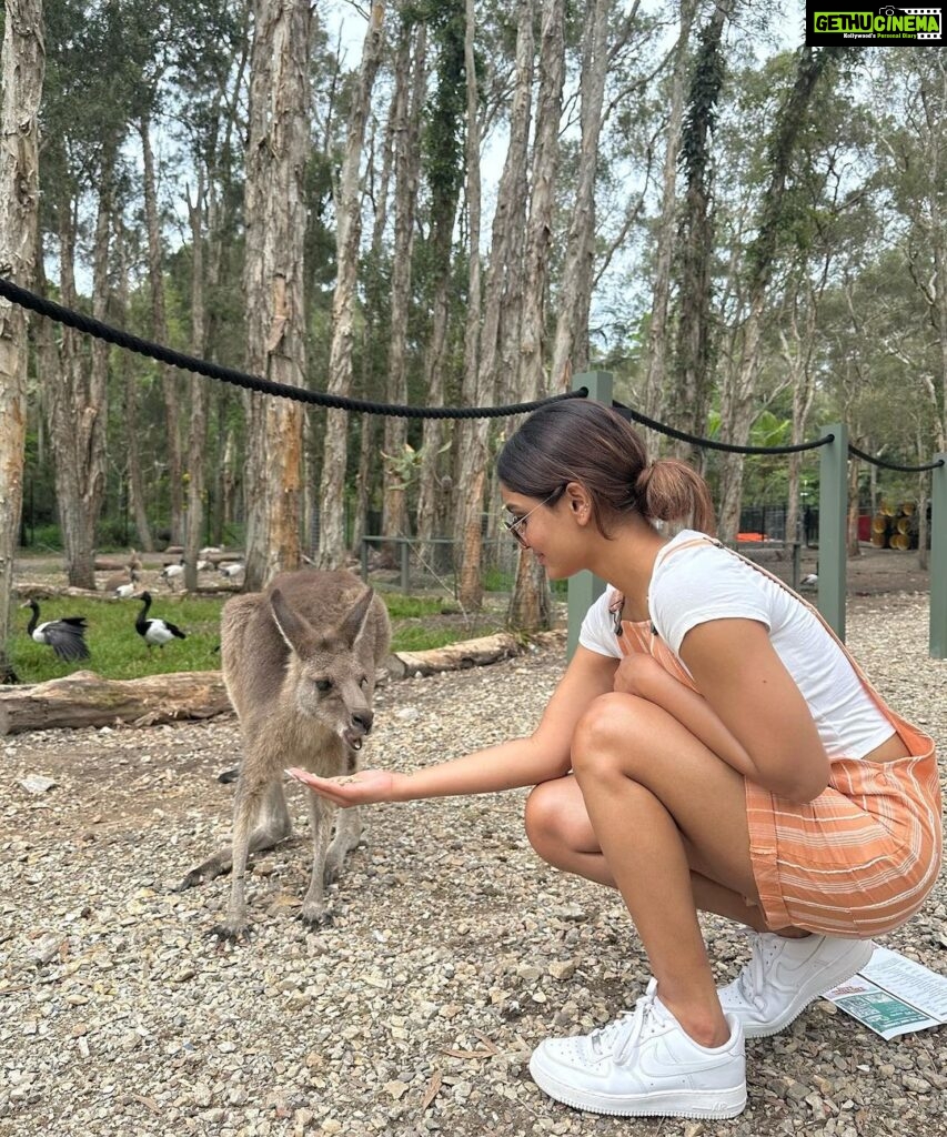 Saniya Iyappan Instagram - 🍃🍂🌚🦘🦘💦🌊🐨🐨 Gold Coast, Australia