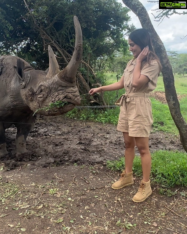 Saniya Iyappan Instagram - Animal whisperer in training- Kenya edition! Swipe through to see the wildness that I witnessed… Kenya, Africa