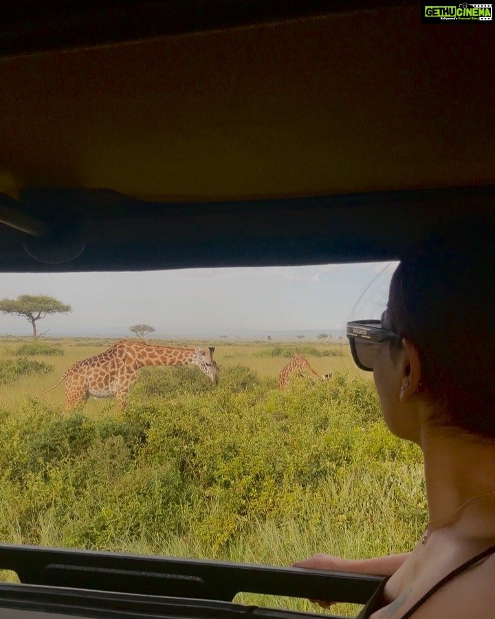 Saniya Iyappan Instagram - Animal whisperer in training- Kenya edition! Swipe through to see the wildness that I witnessed… Kenya, Africa