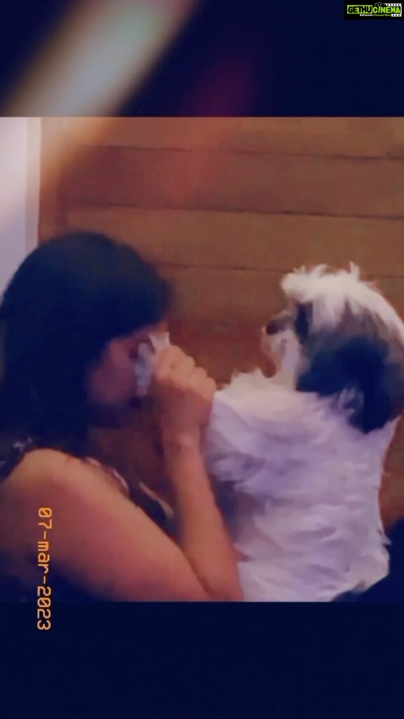 Sanjana Anand Instagram - To the boss of my family✨ Happy Birthdayyyy !! 🐾 I have literally pages to write about what difference this lil baby has made to my life ... My pure bundle of joy and peace ...!!!! ✨♥️ I just got lucky ✨extremely lucky , Ive got the charlie of my life ♥️ #lexy♥️ #dogmom
