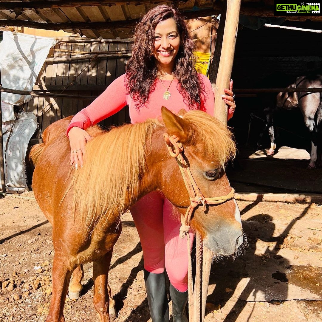 Sanjana Singh Instagram - Horseback riding was the closest I ever came to dreaming while perfectly awake, so strong was the sensation that being with a horse was my kind of heaven. ( @iamelaelavarasan I am immensely grateful for the extraordinary horse riding class you provided. Your expertise, guidance, and passion created an unforgettable experience. Thank you for sharing your knowledge, nurturing our skills, and igniting a deep appreciation for the art of equestrianism. Your dedication and care in teaching left an indelible mark, and I am truly thankful for the incredible journey you led us on. ) Chennai, India