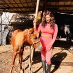 Sanjana Singh Instagram – Horseback riding was the closest I ever came to dreaming while perfectly awake, so strong was the sensation that being with a horse was my kind of heaven. ( @iamelaelavarasan I am immensely grateful for the extraordinary horse riding class you provided. Your expertise, guidance, and passion created an unforgettable experience. Thank you for sharing your knowledge, nurturing our skills, and igniting a deep appreciation for the art of equestrianism. Your dedication and care in teaching left an indelible mark, and I am truly thankful for the incredible journey you led us on. ) Chennai, India
