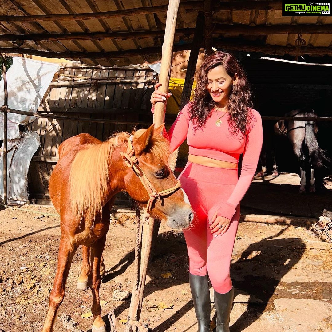 Sanjana Singh Instagram - Horseback riding was the closest I ever came to dreaming while perfectly awake, so strong was the sensation that being with a horse was my kind of heaven. ( @iamelaelavarasan I am immensely grateful for the extraordinary horse riding class you provided. Your expertise, guidance, and passion created an unforgettable experience. Thank you for sharing your knowledge, nurturing our skills, and igniting a deep appreciation for the art of equestrianism. Your dedication and care in teaching left an indelible mark, and I am truly thankful for the incredible journey you led us on. ) Chennai, India