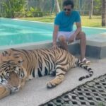Santhanam Instagram - Idharku per than 🐅 valai pidikratha 😜 #tigerlove #traveldiaries#tiger