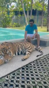 Santhanam Instagram - Idharku per than 🐅 valai pidikratha 😜
#tigerlove #traveldiaries#tiger