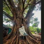 Sanusha Instagram - A tree with strong roots laughs at the storms. 🤗❤️ @ashish.chinnappa 📸 ****************************** @jaladharapumpsetsince1962 location *************************************** #Growthbystayingrooted 👼🏻 #peace #calm #wishingonlyhealthandhappinesstoall #happy #letthestormscomeandpassby #nothingisgonnastopyou #worldisforthosewhodream #andworkforit #prayforit #liveforit #san #instagram Kollengode, Palakkad