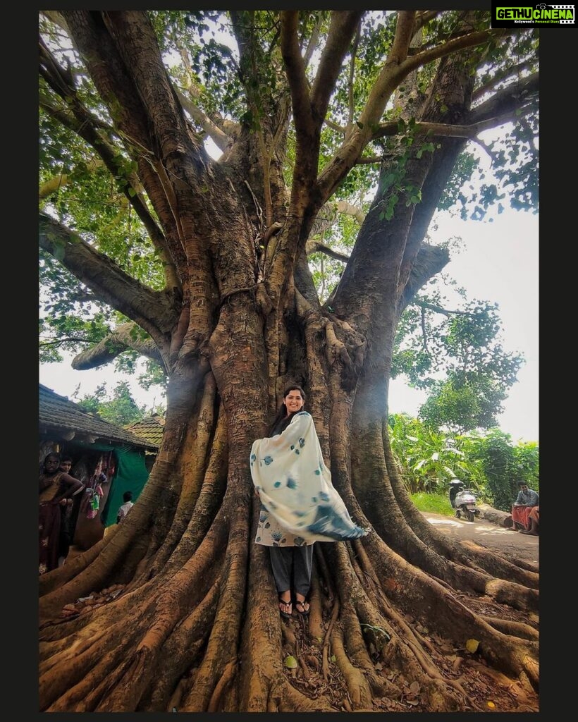 Sanusha Instagram - A tree with strong roots laughs at the storms. 🤗❤ @ashish.chinnappa 📸 ****************************** @jaladharapumpsetsince1962 location *************************************** #Growthbystayingrooted 👼🏻 #peace #calm #wishingonlyhealthandhappinesstoall #happy #letthestormscomeandpassby #nothingisgonnastopyou #worldisforthosewhodream #andworkforit #prayforit #liveforit #san #instagram Kollengode, Palakkad