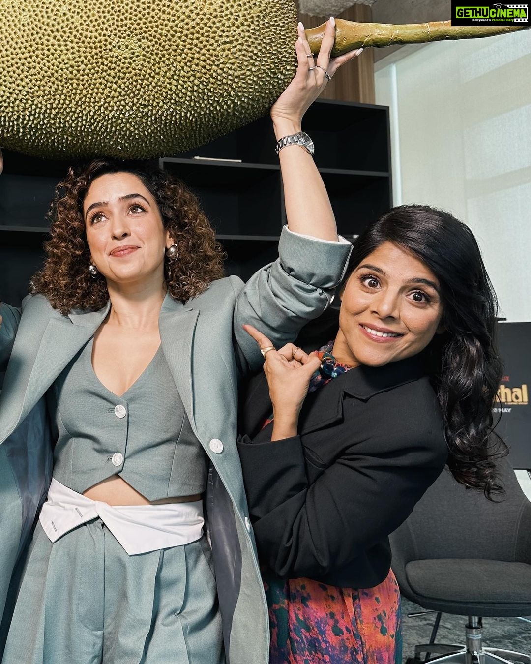 Sanya Malhotra Instagram - (Jack) fruitful day 💚🥰 8 days to go! #KathalOnNetflix