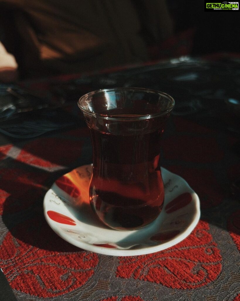 Sanya Malhotra Instagram - 🌸 ☕️ 🐈‍⬛👩‍👧 Turkey, Istanbul